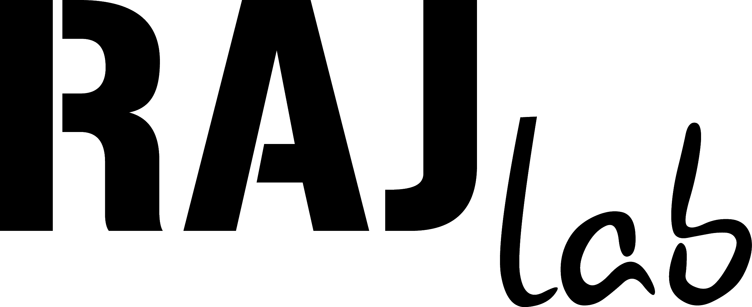 Rajlab